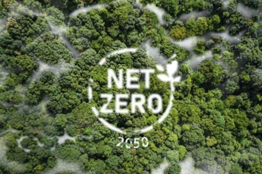 Net Zero 2050